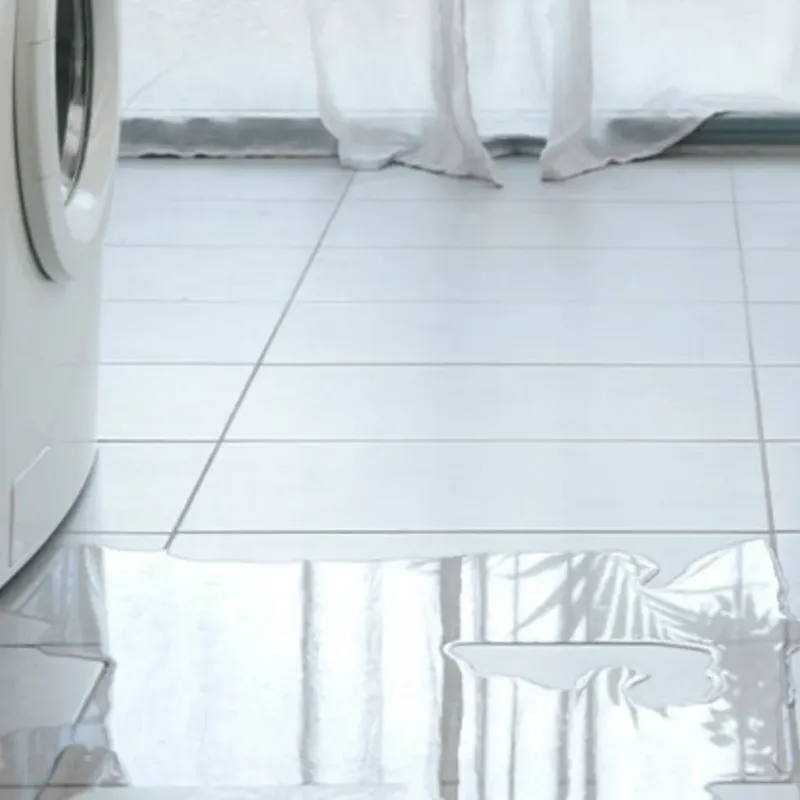Appliance Leak Cleanup in Granger, TX