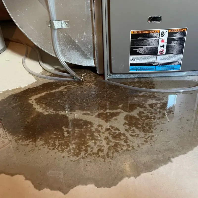 Pipe Burst and Leak Restoration in Granger, TX