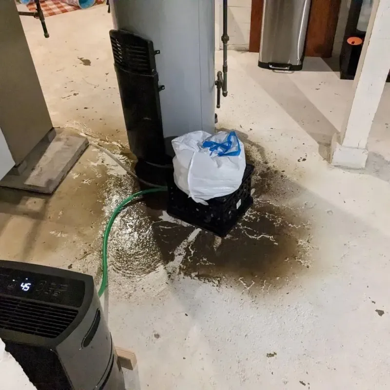 Sewage Backup Cleanup Service in Granger, TX